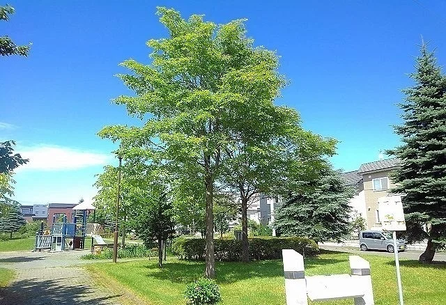 米里いきいき公園まで160m