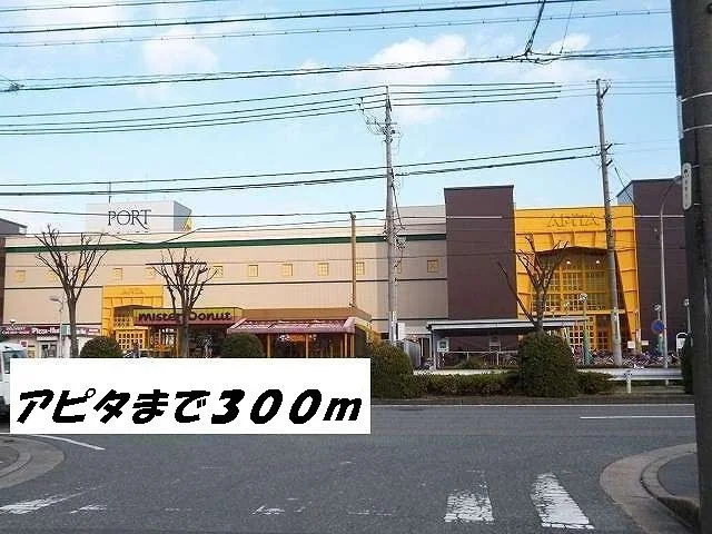 アピタまで300m