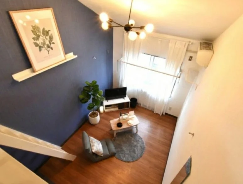 明るい御部屋の空間でロフト付！　天井高で開放感のある空間！　アクセントクロスがポイントになったおしゃれなお部屋です。※植木と額は写真用です。