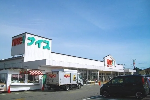 ナイス　追分店まで1100m