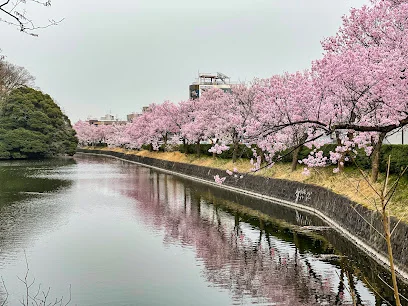 高岡古城公園まで車で7分