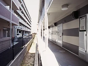 ※写真と現状が異なる場合は現状を優先