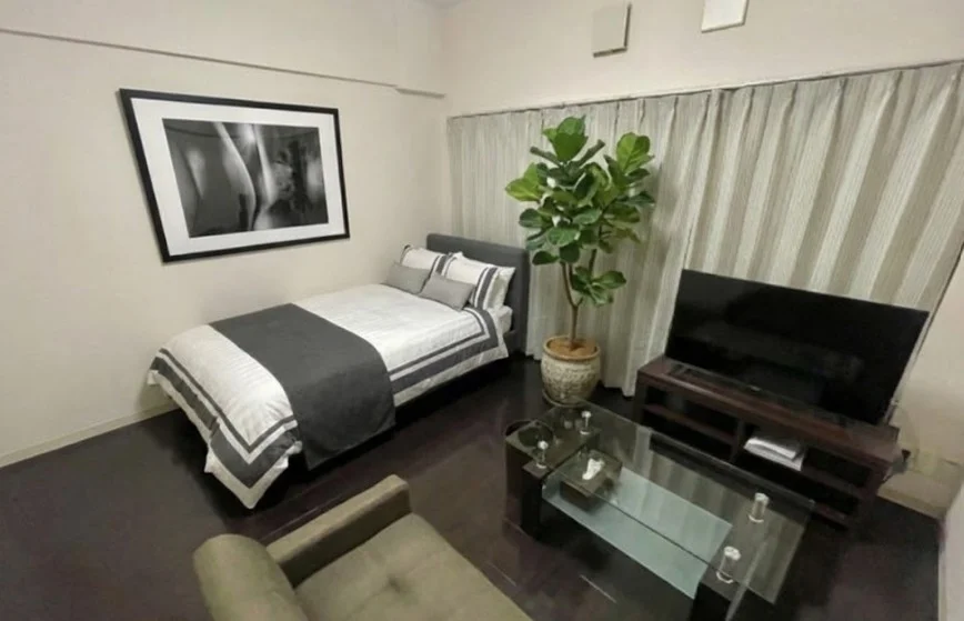 オートロック付でセキュリティー対策もあり法人様もご安心してご契約可能です。※植木と額とクッションなどの装飾は写真用です。