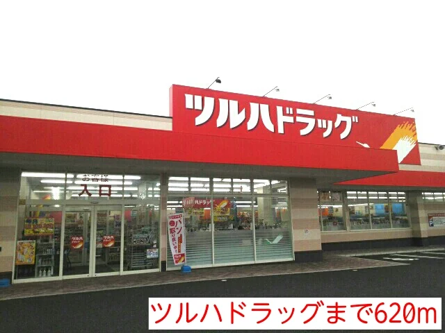 ツルハドラッグまで620m