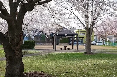 駅前第三児童公園(オオヤマザクラ公園)まで徒歩10分