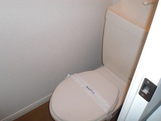 トイレはシンプルなタイプ。