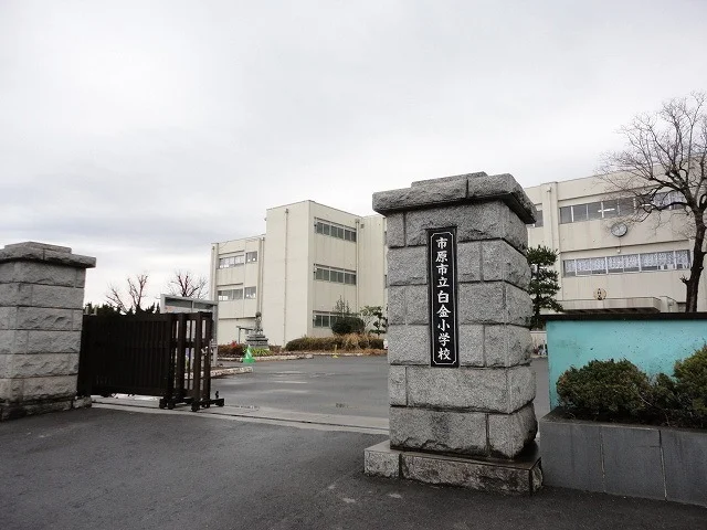 市原市立白金小学校まで450m
