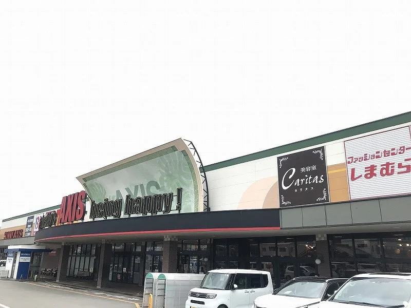 サニーアクシス南国店まで696メートル（徒歩9分）