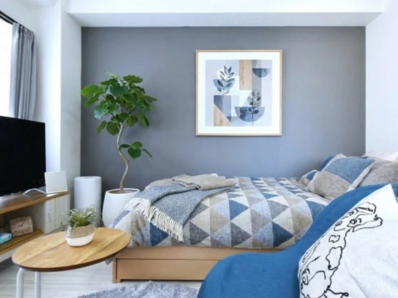 デザインクロス付きで　キッチンスペースと就寝スペースを分けた快適　広々空間でビジネスホテルよりも割安物件！※植木と額は写真用です。