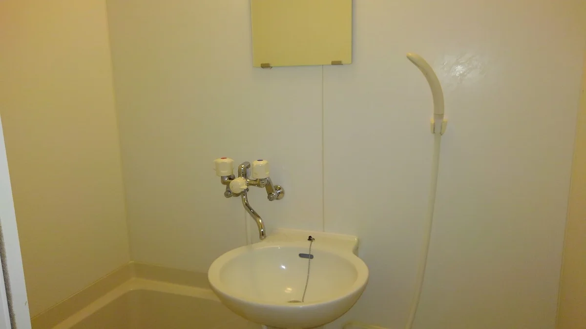 浴室内洗面スペース