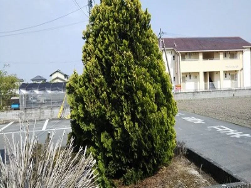 設備・使用は号室により異なる為、現況を優先致します。