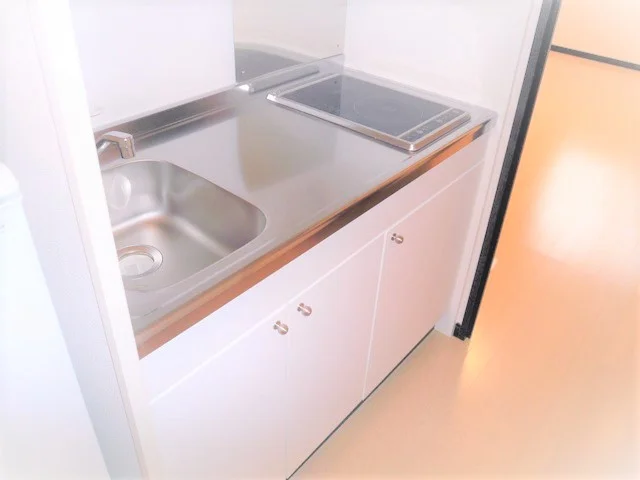 同タイプ物件の為、形状や間取寸法、色調等が実際とは異なります