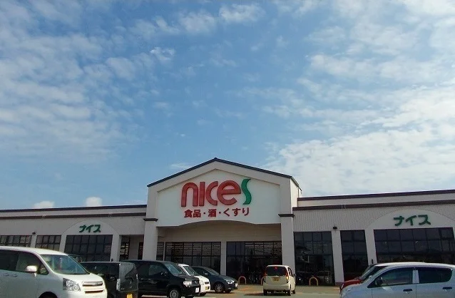 ナイス　仁井田南店まで1200m