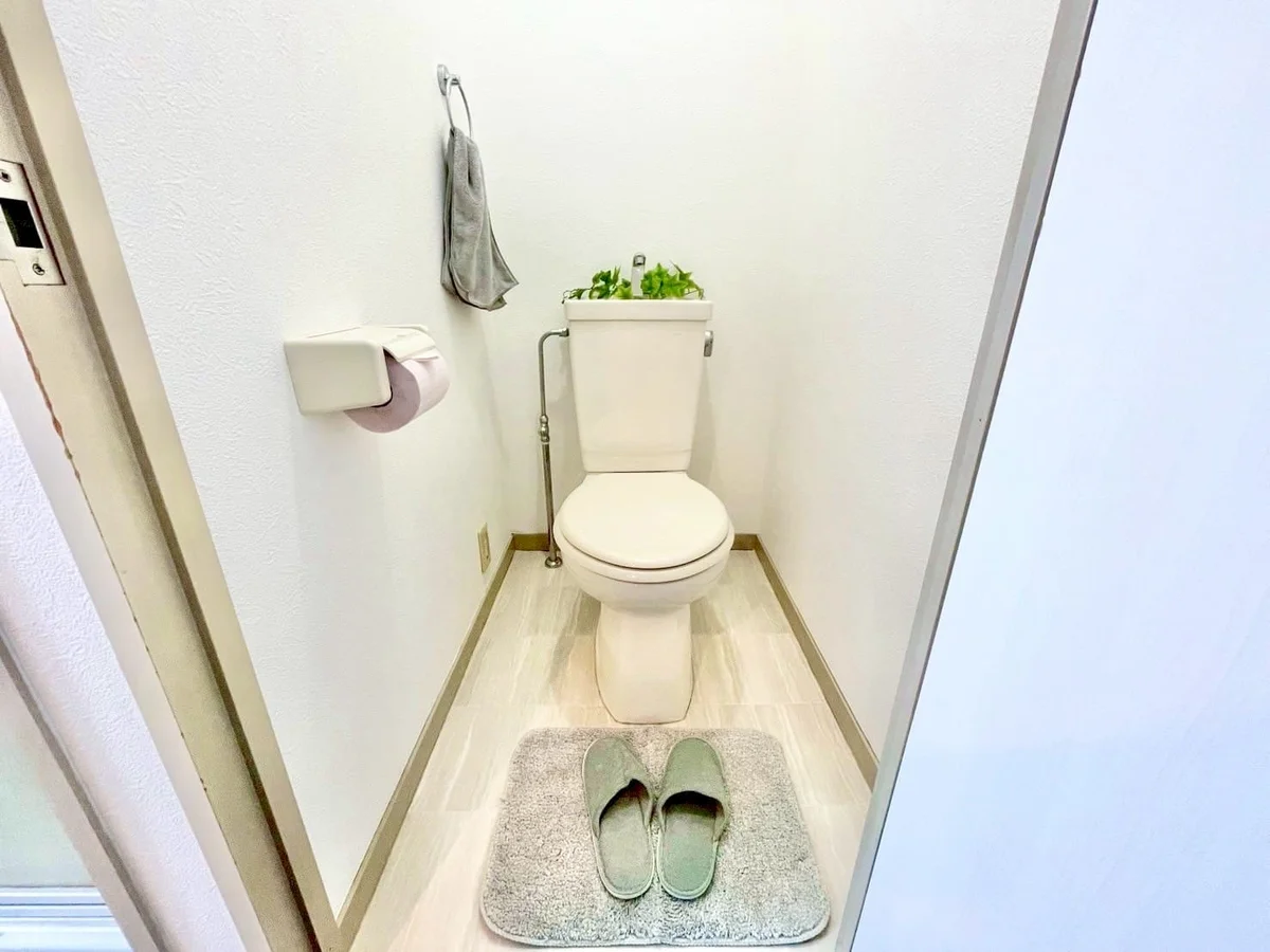 ※撮影用の観葉植物・食器調理器具・雑貨類等はございません。※図面・写真は現況優先。