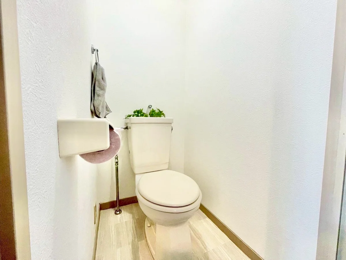 ※撮影用の観葉植物・食器調理器具・雑貨類等はございません。※図面・写真は現況優先。