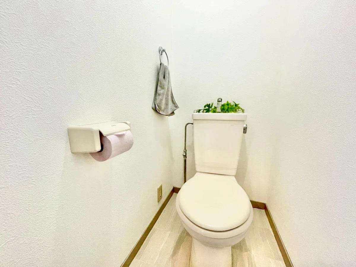 ※撮影用の観葉植物・食器調理器具・雑貨類等はございません。※図面・写真は現況優先。