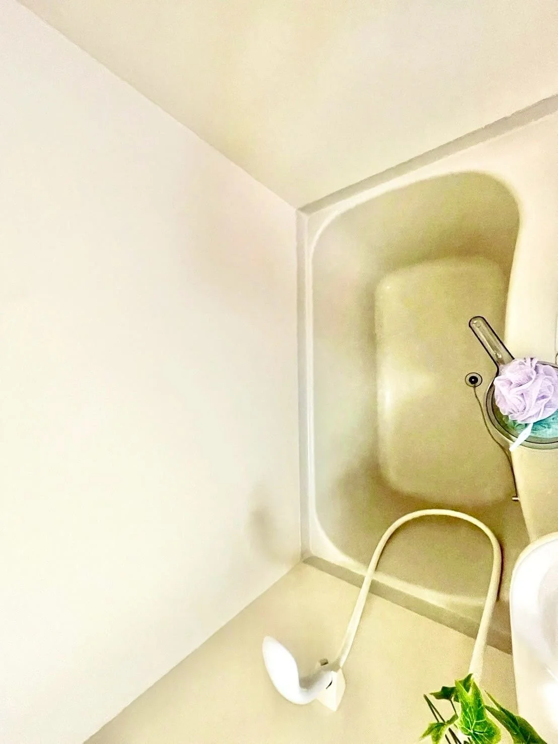 ※撮影用の観葉植物・食器調理器具・雑貨類等はございません。※図面・写真は現況優先。