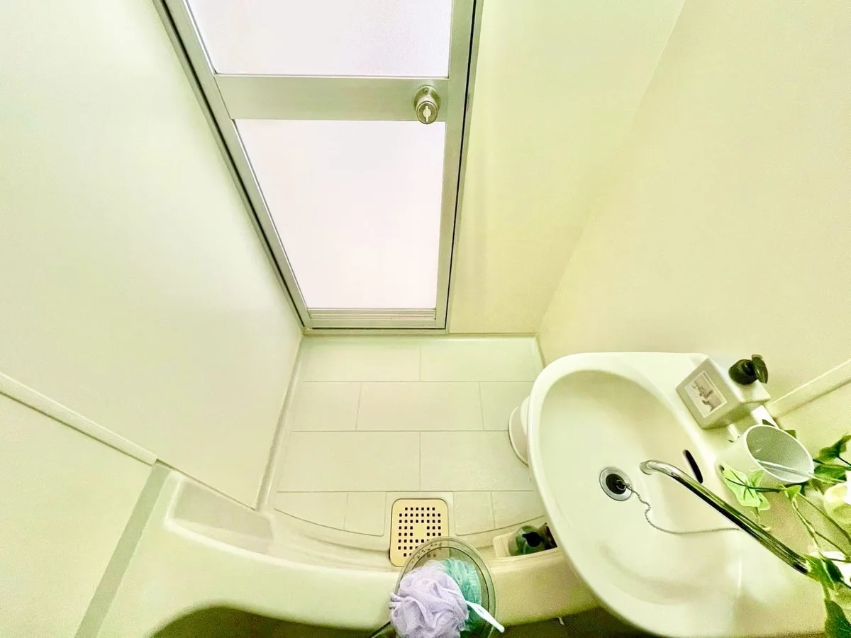 ※撮影用の観葉植物・食器調理器具・雑貨類等はございません。※図面・写真は現況優先。