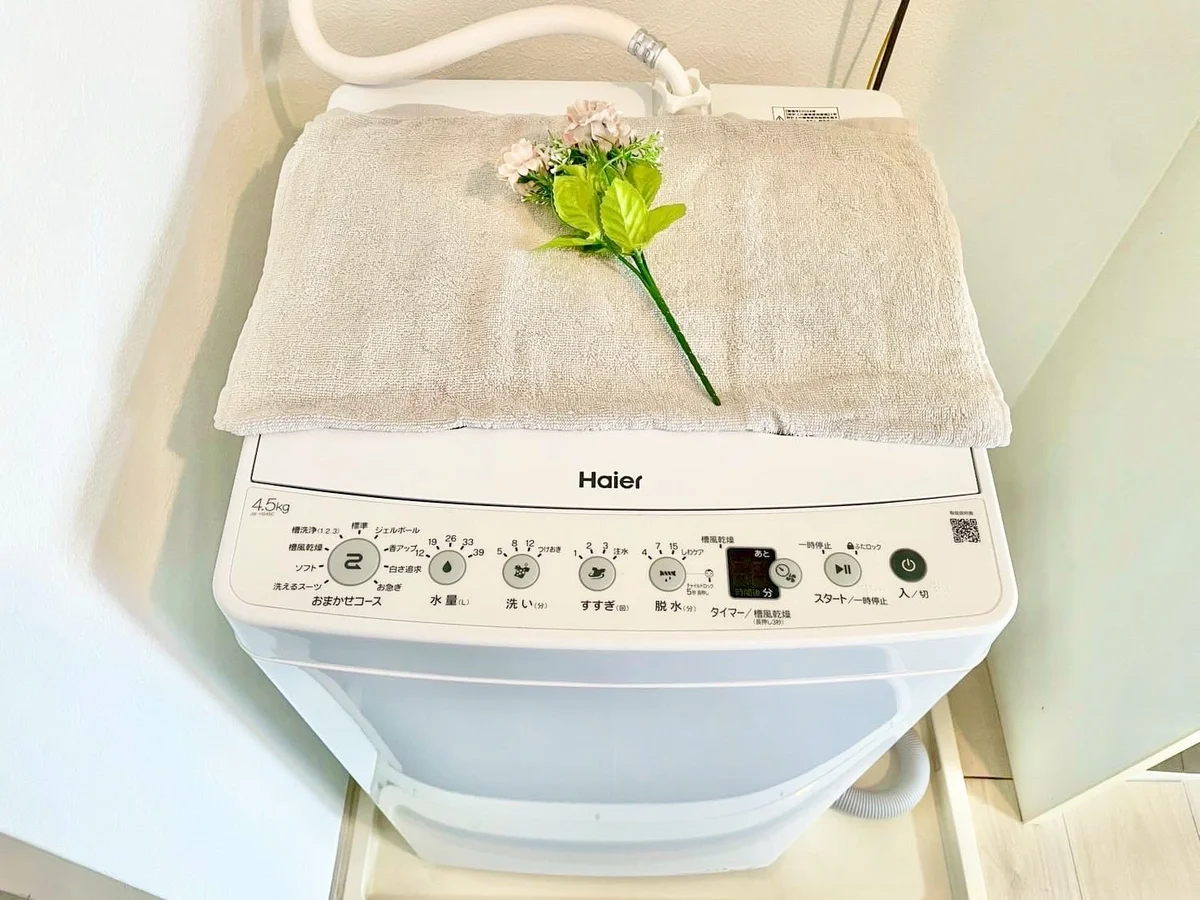 ※撮影用の観葉植物・食器調理器具・雑貨類等はございません。※図面・写真は現況優先。