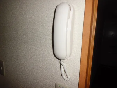 インターホン。部屋にいながらにして、玄関先の人と話せます。