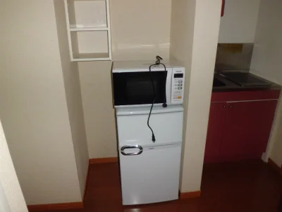 冷蔵庫と電子レンジ。
