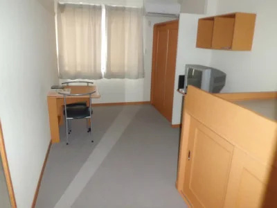 カーペット敷きの居室。