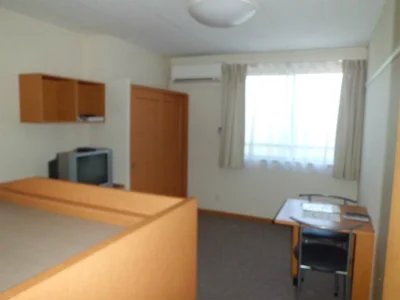 カーペット敷きの居室。