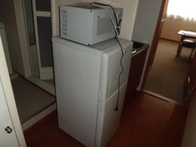 冷蔵庫と電子レンジ。