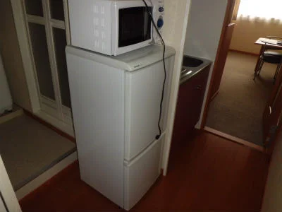 冷蔵庫と電子レンジ。