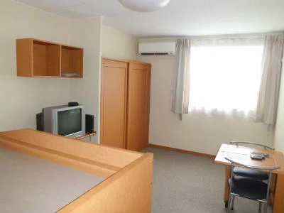 メイプルカラーの建具が印象的な居室。