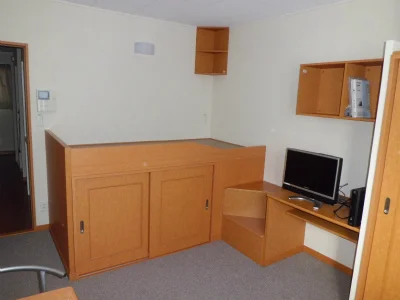 大きく丈夫なベッドが鎮座。