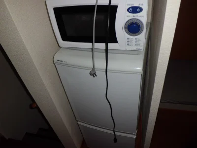 冷蔵庫と電子レンジ。
