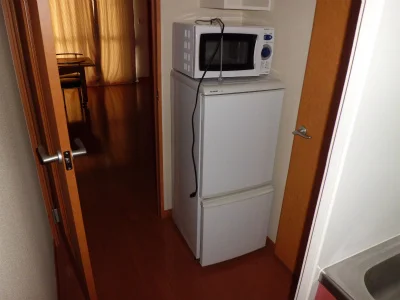 洗濯機と電子レンジ。