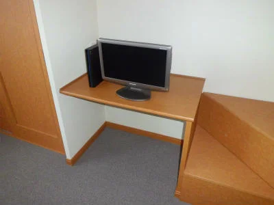 テレビとレオネット。