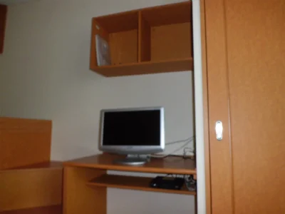 テレビとレオネット。