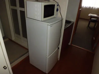 冷蔵庫と電子レンジ。