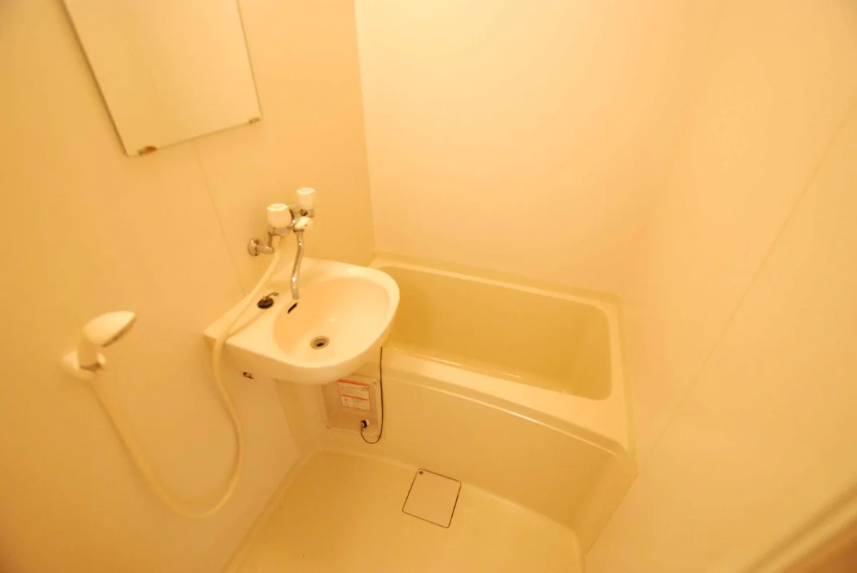 同タイプ写真の為、現況優先。