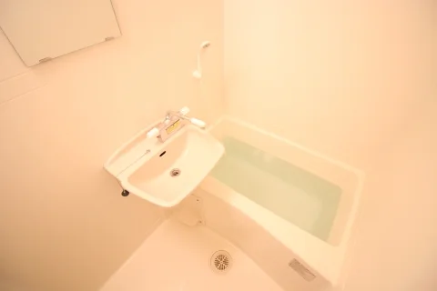 同タイプ写真の為、現況優先致します。