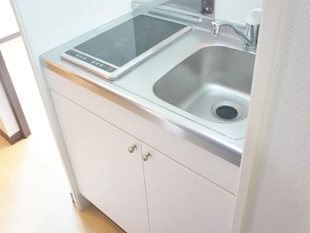 使い勝手のいい、２口電気コンロです。