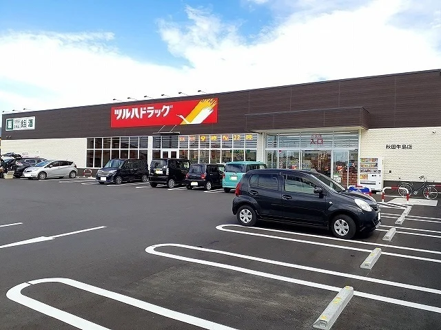 ツルハドラッグ秋田牛島店まで1100m