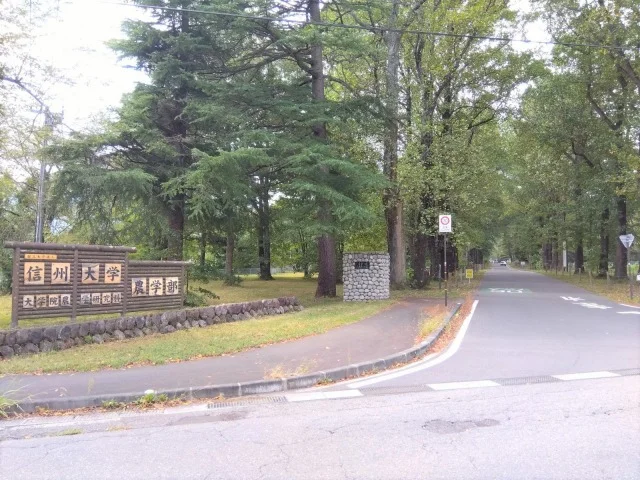 敷地入口までの距離です