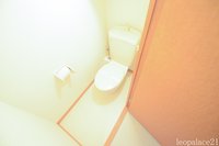 同タイプの写真です。