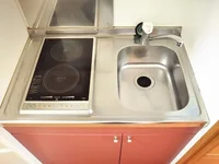 同タイプの写真です。