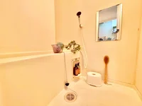 ※撮影用の観葉植物・食器調理器具・雑貨類等はございません。※図面・写真は現況優先。