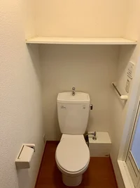 同タイプの写真です。