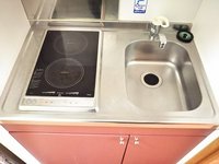 同タイプの写真です。