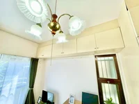 ※撮影用の観察植物・食器調理器具・雑貨類等はございません。※写真は現況優先