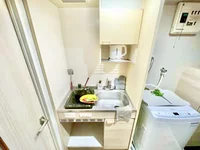 ※撮影用の観察植物・食器調理器具・雑貨類等はございません。※写真は現況優先