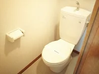 同タイプの写真です。