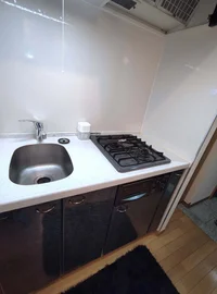 2å£ã¬ã¹ã³ã³ãð¥ã°ãªã«ä»ãâª